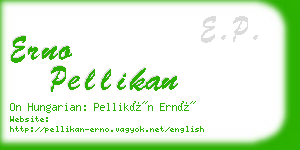 erno pellikan business card